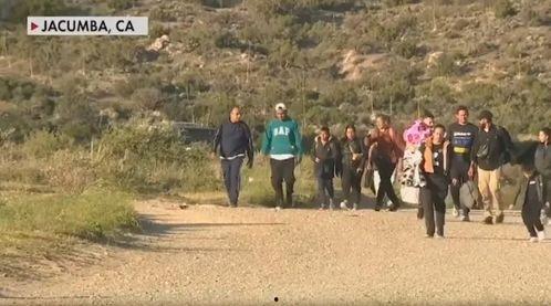 从摇篮到坟墓网红老师,网红老师的成长轨迹与启示