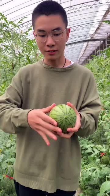 剥皮可以吃的瓜,剥皮瓜类美食探秘