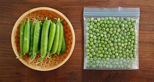 吃了豆子吃茜瓜行吗,探寻饮食搭配的奥秘