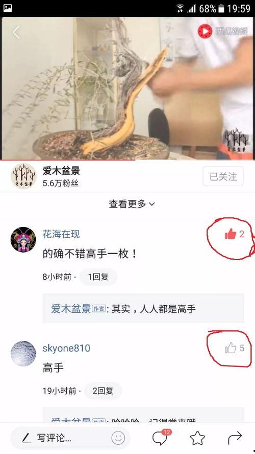 头条直播点赞最多的人,揭秘头条直播最受欢迎的瞬间