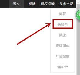 头条视频可以添加水印吗,轻松实现个性化内容保护