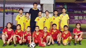 世界杯娱乐大爆料是谁,揭秘赛场背后的精彩瞬间