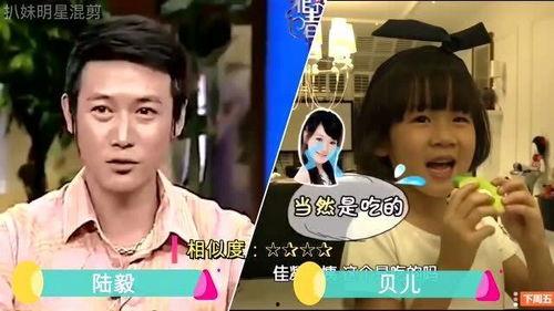 明星爸爸打女儿,明星爸爸打女儿事件引发社会热议