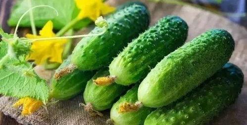 吃瓜骨头疼,网络热词背后的社会现象